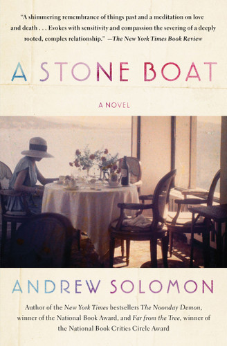 A Stone Boat: A Novel book cover by Andrew Solomon