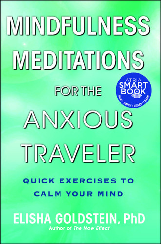 Mindfulness Meditations for the Anxious Traveler: Quick Exercises to Calm Your Mind book cover by Elisha Goldstein
