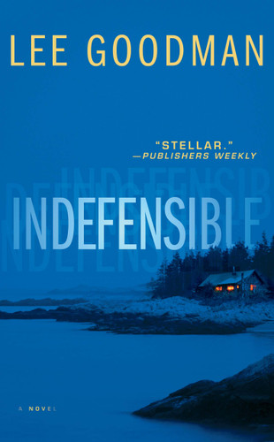 Indefensible: A Novel book cover by Lee Goodman