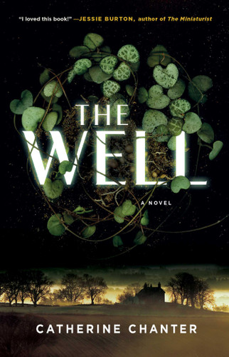 The Well: A Novel book cover by Catherine Chanter