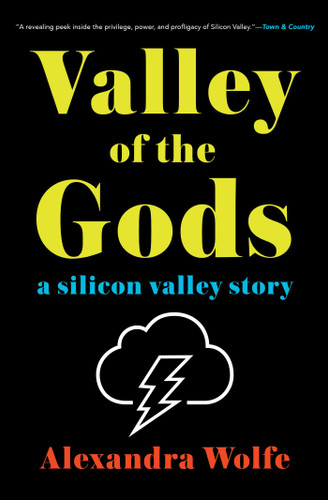 Valley of the Gods: A Silicon Valley Story book cover by Alexandra Wolfe