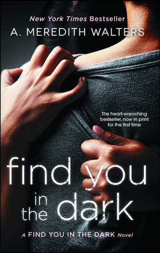 Find You in the Dark (Find You in the Dark) book cover by A. Meredith Walters
