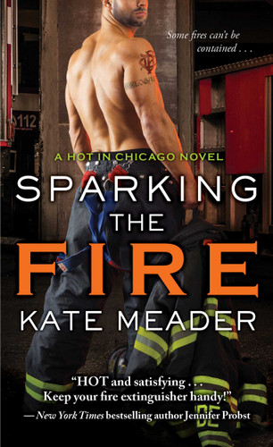 Sparking the Fire (Hot in Chicago) book cover by Kate Meader
