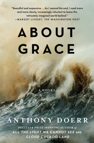 About Grace: A Novel book cover by Anthony Doerr