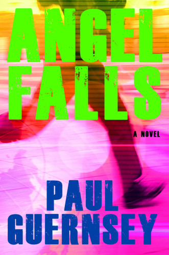 Angel Falls book cover by Paul Guernsey