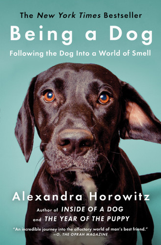 Being a Dog: Following the Dog Into a World of Smell book cover by Alexandra Horowitz