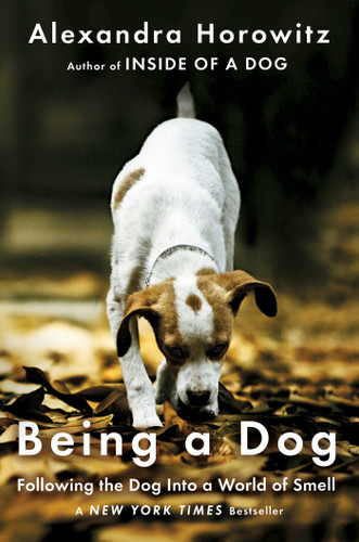 Being a Dog: Following the Dog Into a World of Smell book cover by Alexandra Horowitz