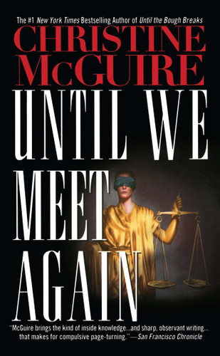 Until We Meet Again book cover by Christine McGuire