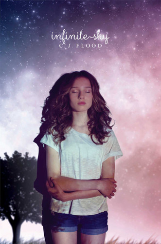 Infinite Sky book cover by C. J. Flood