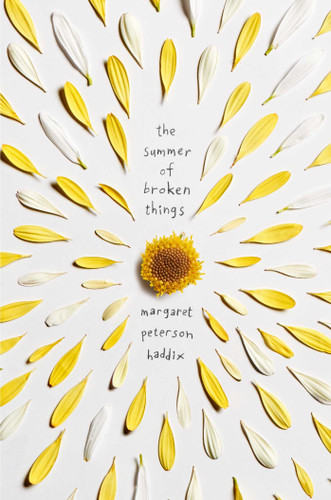 The Summer of Broken Things book cover by Margaret Peterson Haddix