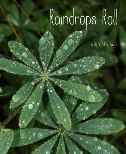 Raindrops Roll (Weather Walks) book cover by April Pulley Sayre
