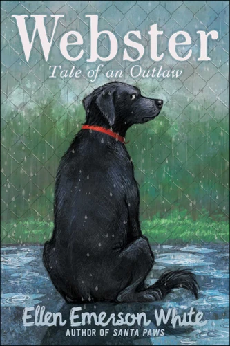 Webster: Tale of an Outlaw book cover by Ellen Emerson White