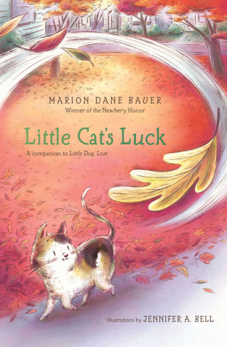 Little Cat's Luck book cover by Marion  Dane Bauer