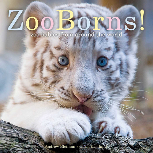 ZooBorns!: Zoo Babies from Around the World (ZooBorns) book cover by Andrew Bleiman, Chris Eastland