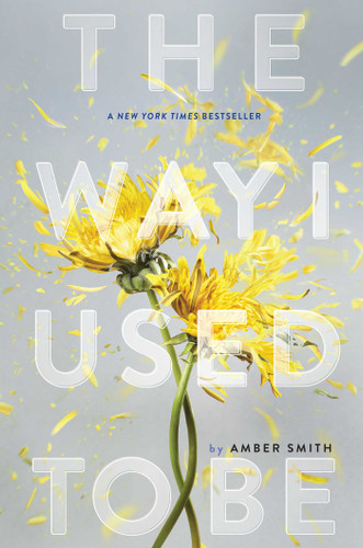 The Way I Used to Be (The Way I Used to Be) book cover by Amber Smith