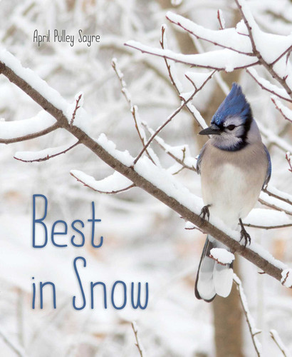 Best in Snow (Weather Walks) book cover by April Pulley Sayre