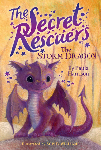 The Storm Dragon (The Secret Rescuers) book cover by Paula Harrison