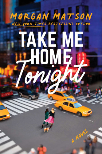 Take Me Home Tonight book cover by Morgan Matson