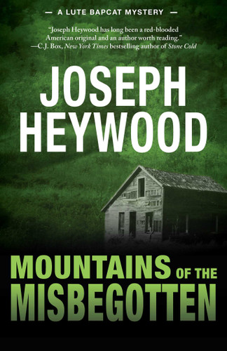 Mountains of the Misbegotten: A Lute Bapcat Mystery book cover by Joseph Heywood