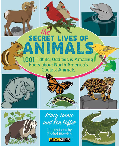 The Secret Lives of Animals: 1,001 Tidbits, Oddities, and Amazing Facts about North America's Coolest Animals book cover by Stacy Tornio, Ken Keffer