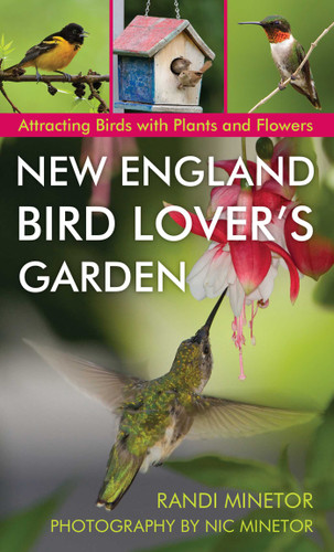 New England Bird Lover's Garden: Attracting Birds with Plants and Flowers book cover by Randi Minetor