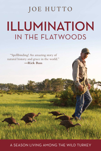 Illumination in the Flatwoods: A Season Living Among the Wild Turkey book cover by Joe Hutto