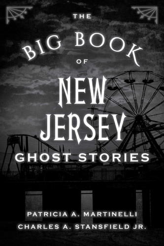 The Big Book of New Jersey Ghost Stories (Big Book of Ghost Stories) book cover by Patricia A. Martinelli, Charles A. Stansfield
