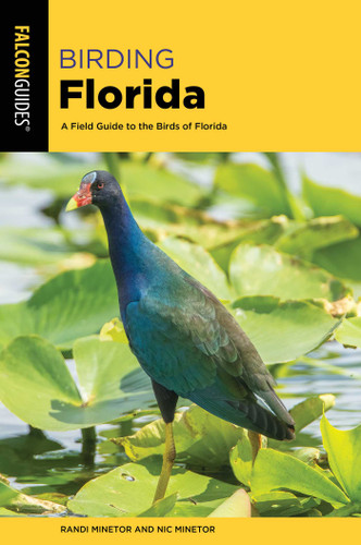 Birding Florida (Birding Series) book cover by Randi Minetor, Nic Minetor