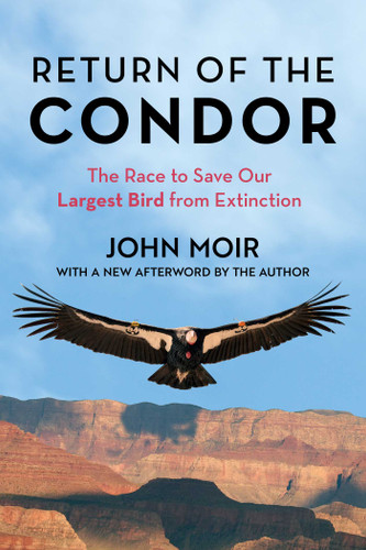 Return of the Condor: The Race to Save Our Largest Bird from Extinction book cover by John Moir