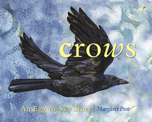 Crows: An Egg-to-Sky Story book cover by Margaret Peot