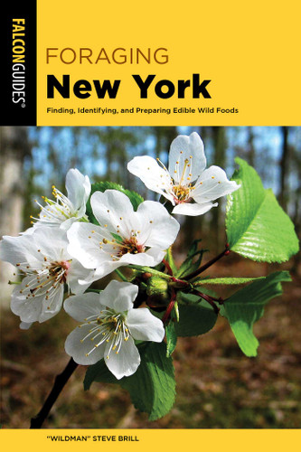 Foraging New York: Finding, Identifying, and Preparing Edible Wild Foods (Foraging Series) book cover by "Wildman" Steve Brill