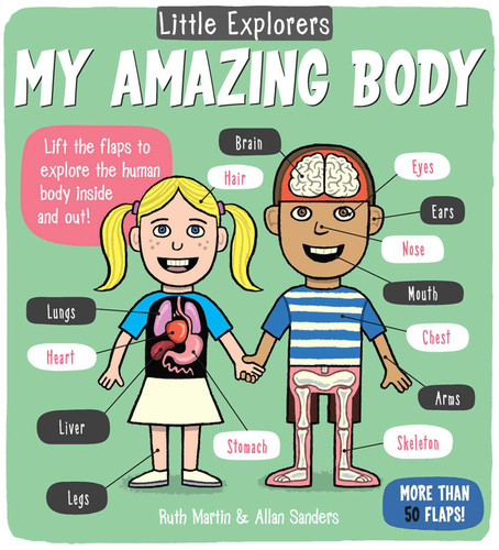 Little Explorers: My Amazing Body (Little Explorers) book cover by Ruth Martin