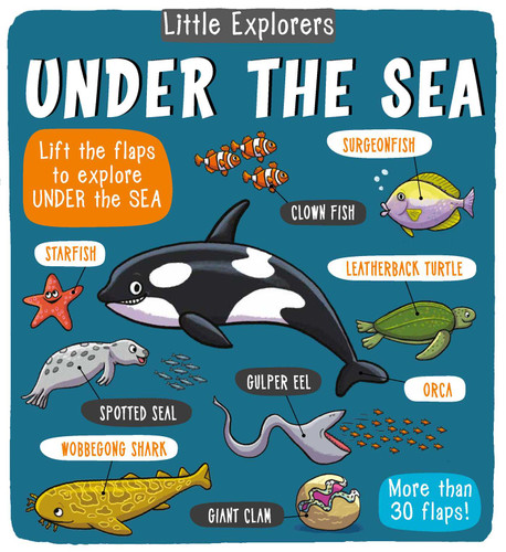 Little Explorers: Under the Sea (Little Explorers) book cover by Little Bee Books