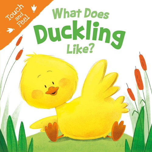 What Does Duckling Like: Touch & Feel Board Book book cover by IglooBooks