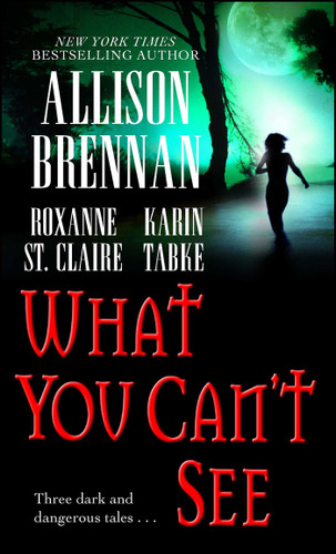 What You Can't See book cover by Allison Brennan, Karin Tabke, Roxanne St. Claire