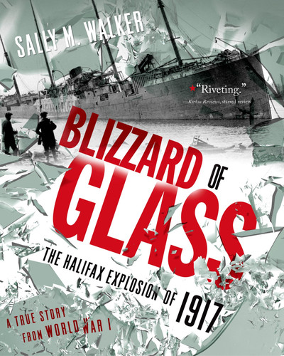 Blizzard of Glass: The Halifax Explosion of 1917 book cover by Sally M. Walker