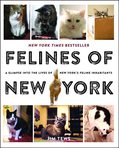 Felines of New York: A Glimpse Into the Lives of New York's Feline Inhabitants book cover by Jim Tews