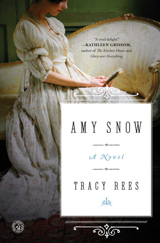 Amy Snow: A Novel book cover by Tracy Rees