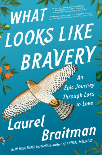 What Looks Like Bravery: An Epic Journey Through Loss to Love book cover by Laurel Braitman