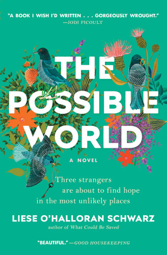 The Possible World: A Novel book cover by Liese O'Halloran Schwarz