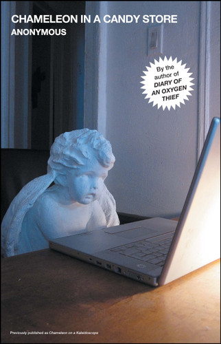 Chameleon in a Candy Store (The Oxygen Thief Diaries) book cover by Anonymous