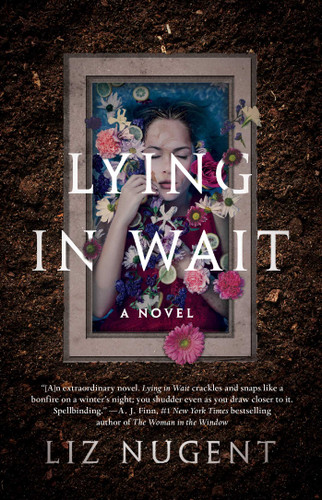 Lying in Wait: A Novel book cover by Liz Nugent