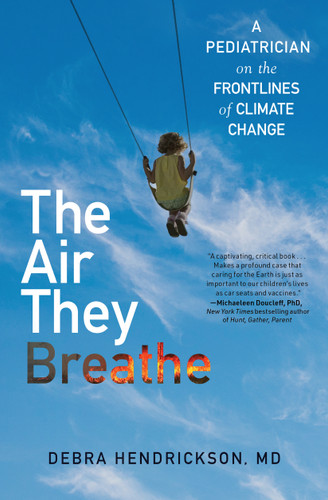 The Air They Breathe: A Pediatrician on the Frontlines of Climate Change book cover by Debra Hendrickson
