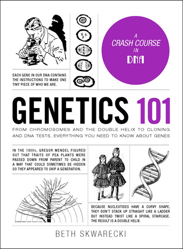 Genetics 101: From Chromosomes and the Double Helix to Cloning and DNA Tests, Everything You Need to Know about Genes (Adams 101 Series) book cover by Beth Skwarecki