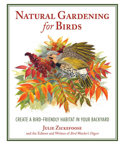 Natural Gardening for Birds: Create a Bird-Friendly Habitat in Your Backyard book cover by Julie Zickefoose