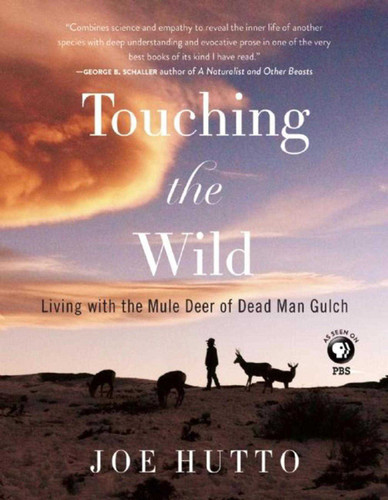 Touching the Wild: Living with the Mule Deer of Deadman Gulch book cover by Joe Hutto