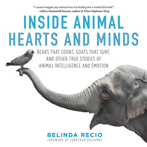 Inside Animal Hearts and Minds: Bears That Count, Goats That Surf, and Other True Stories of Animal Intelligence and Emotion book cover by Belinda Recio
