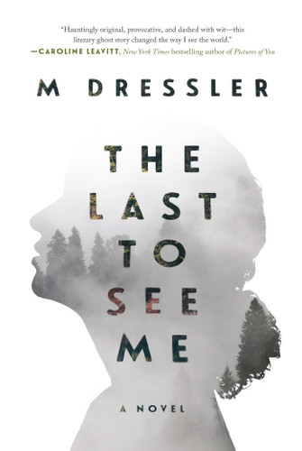 The Last to See Me: The Last Ghost Series, Book One (The Last Ghost Series) book cover by M Dressler