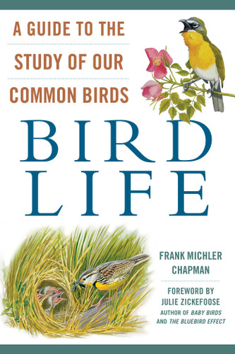 Bird Life: A Guide to the Study of Our Common Birds book cover by Frank Michler Chapman