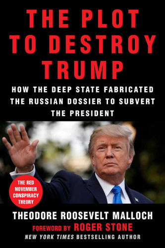 The Plot to Destroy Trump: How the Deep State Fabricated the Russian Dossier to Subvert the President book cover by Theodore Roosevelt Malloch